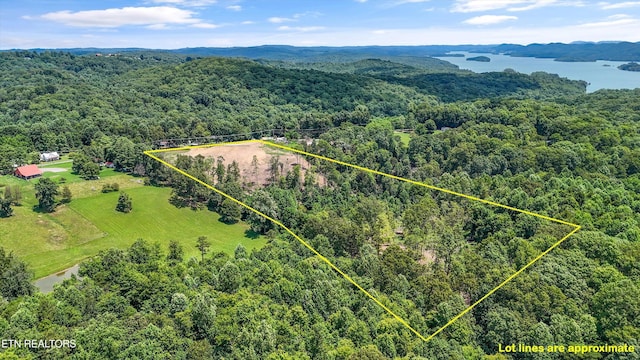 0 Mcafee Rd, Andersonville, TN 37705 - photo 3