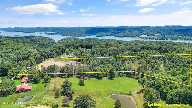 0 Mcafee Rd, Andersonville, TN 37705 - photo 6