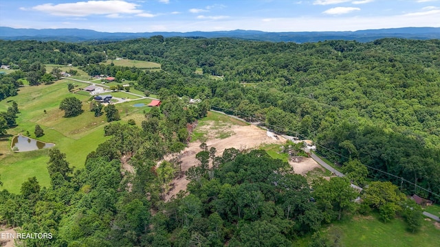 0 Mcafee Rd, Andersonville, TN 37705 - photo 8