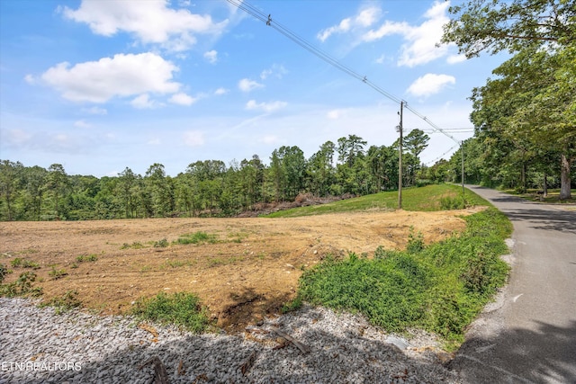 0 Mcafee Rd, Andersonville, TN 37705 - photo 10