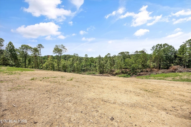 0 Mcafee Rd, Andersonville, TN 37705 - photo 9