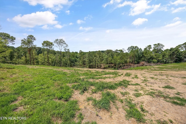 0 Mcafee Rd, Andersonville, TN 37705 - photo 12