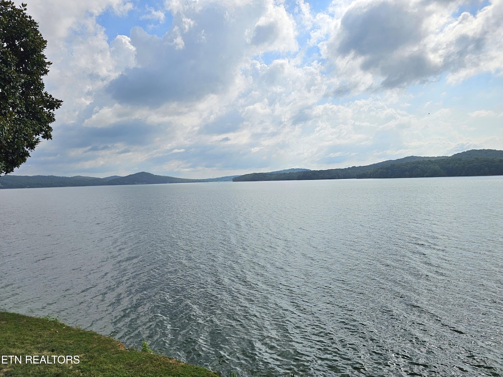 357 Winton Chapel Rd, Rockwood, TN 37854 - photo 2