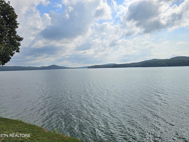 357 Winton Chapel Rd, Rockwood, TN 37854 - photo 2