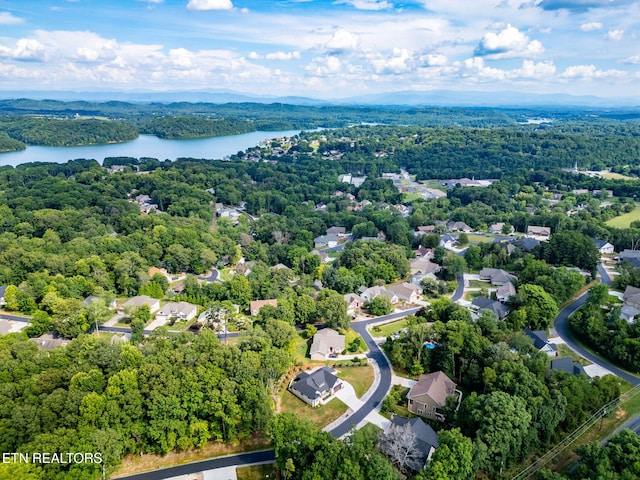 205 Chahyga Cir, Loudon, TN 37774 - photo 55