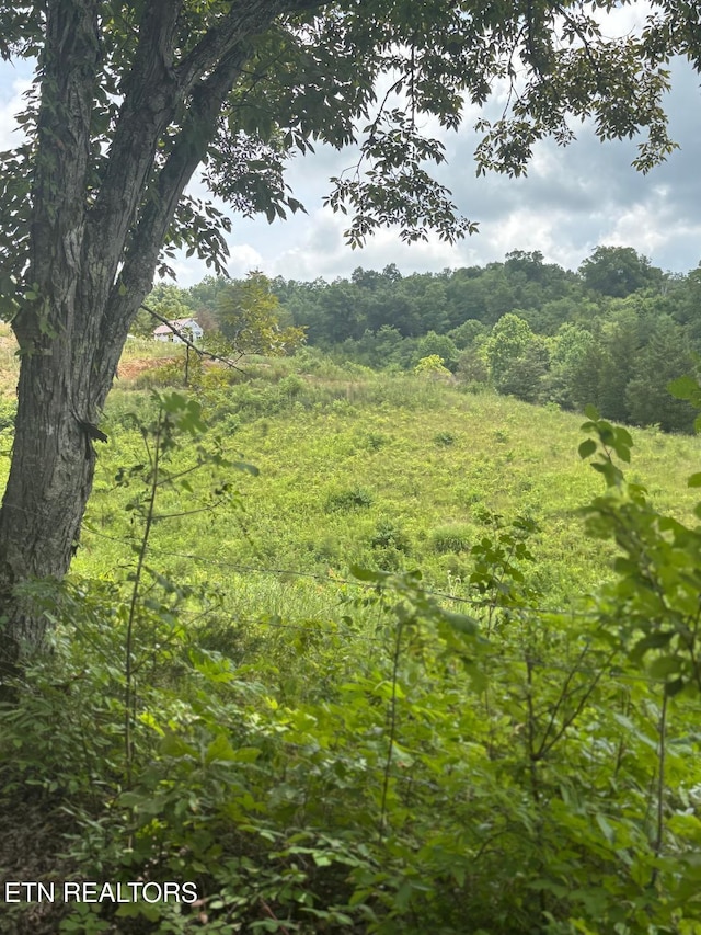 515 W Turner Ridge Rd, Newport, TN 37821 - photo 13