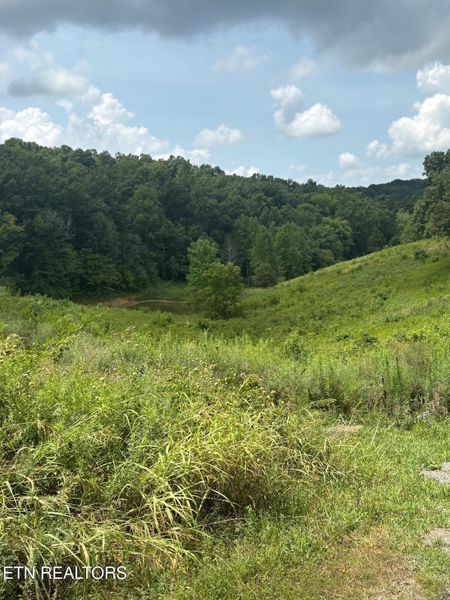 515 W Turner Ridge Rd, Newport, TN 37821 - photo 12