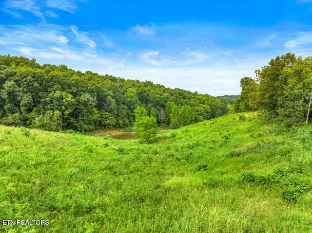 515 W Turner Ridge Rd, Newport, TN 37821 - photo 1