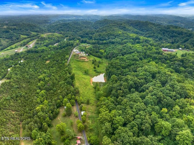 515 W Turner Ridge Rd, Newport, TN 37821 - photo 3