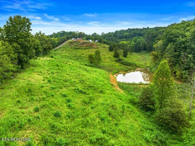 515 W Turner Ridge Rd, Newport, TN 37821 - photo 4
