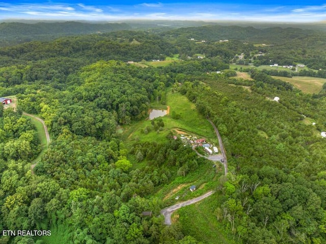 515 W Turner Ridge Rd, Newport, TN 37821 - photo 5