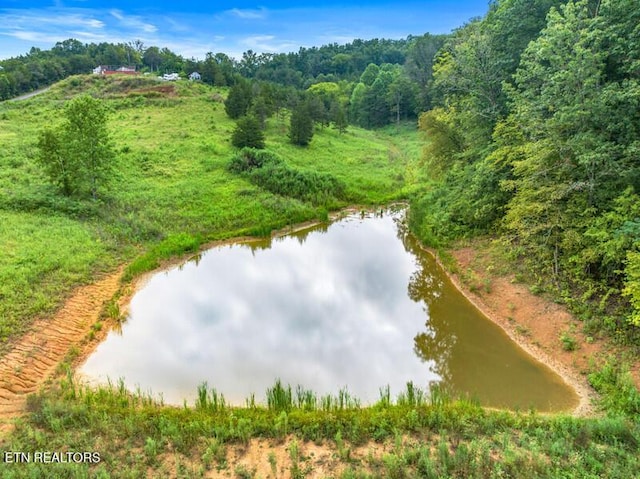 515 W Turner Ridge Rd, Newport, TN 37821 - photo 6