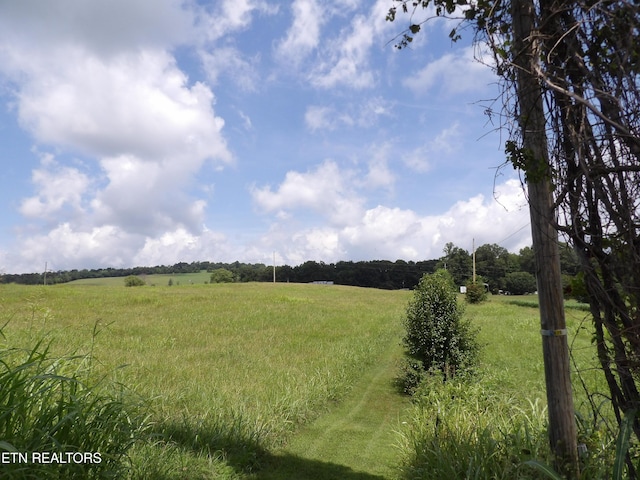 Shumate Rd, Rutledge, TN 37861 - photo 2