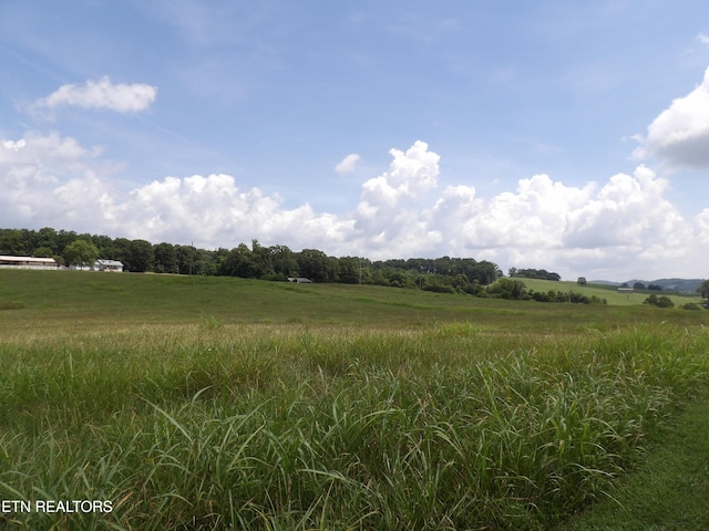 Shumate Rd, Rutledge, TN 37861 - photo 3