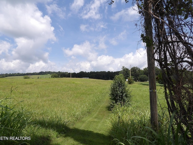 Shumate Rd, Rutledge, TN 37861 - photo 4