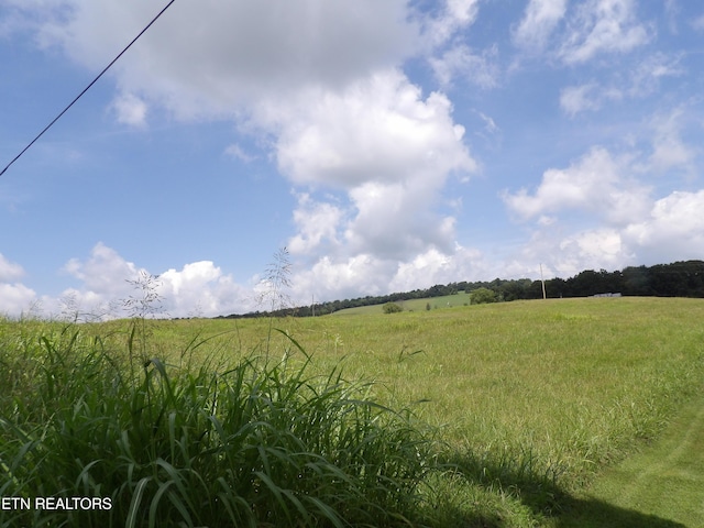 Shumate Rd, Rutledge, TN 37861 - photo 5