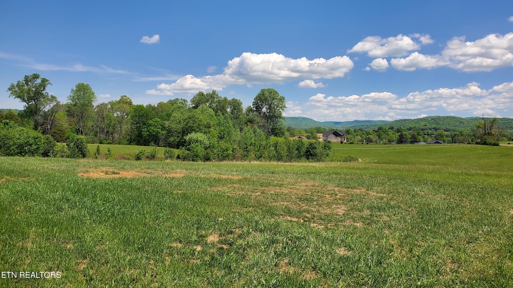 330 Bethlehem Rd, Rickman, TN 38580 - photo 3