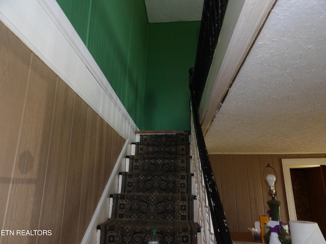 139 Everett Bird Rd, Rutledge, TN 37861 - photo 9