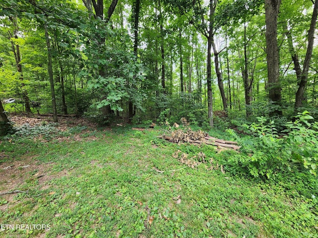 204 Donna Ln, Lafollette, TN 37766 - photo 24