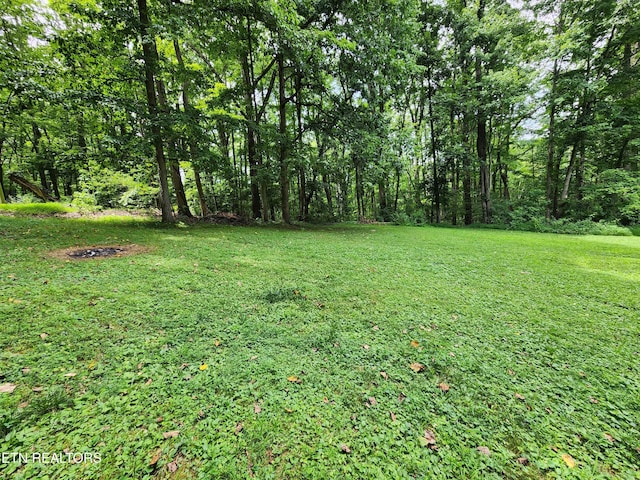 204 Donna Ln, Lafollette, TN 37766 - photo 25