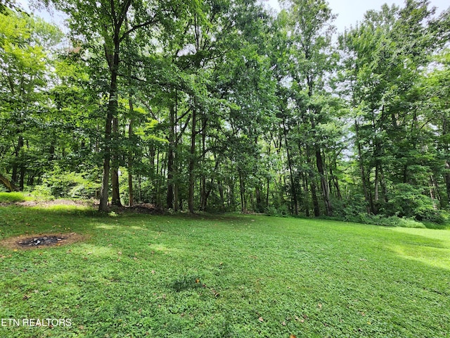204 Donna Ln, Lafollette, TN 37766 - photo 26