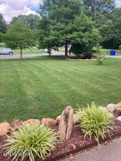 331 Dewitt Dr, Lenoir City, TN 37772 - photo 29