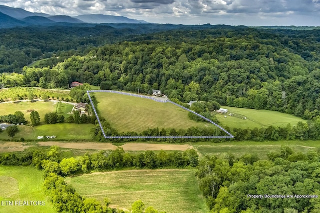 2557 Kay Jay Way, Seymour, TN 37865 - photo 16