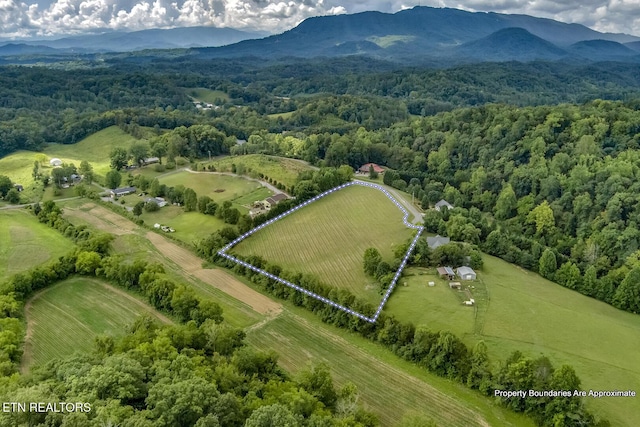 2557 Kay Jay Way, Seymour, TN 37865 - photo 17