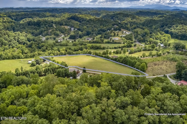 2557 Kay Jay Way, Seymour, TN 37865 - photo 20