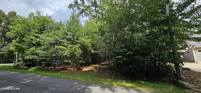 3116 Seminole Loop, Crossville, TN 38572 - photo 5