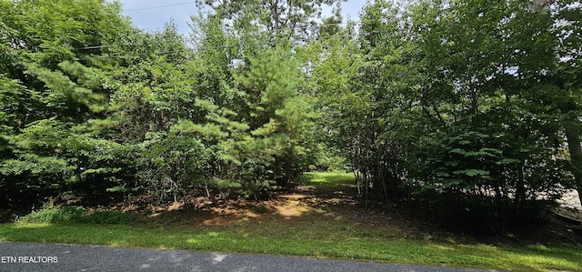 3116 Seminole Loop, Crossville, TN 38572 - photo 6
