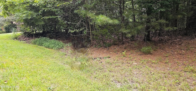 3116 Seminole Loop, Crossville, TN 38572 - photo 7