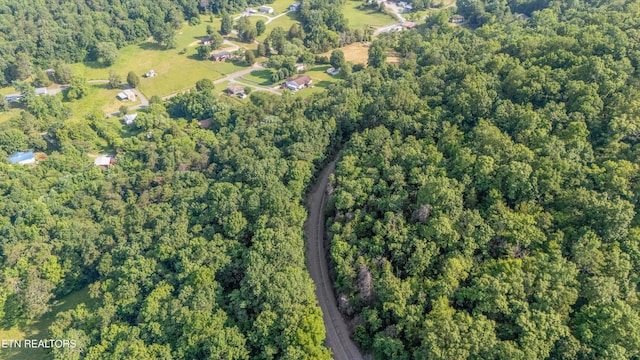 1710 W Brushy Valley Dr, Powell, TN 37849 - photo 2