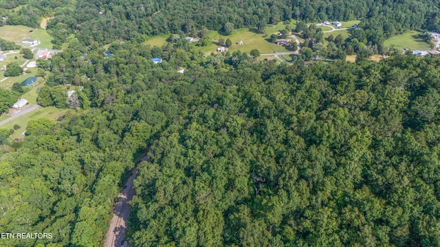 1710 W Brushy Valley Dr, Powell, TN 37849 - photo 3