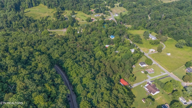 1710 W Brushy Valley Dr, Powell, TN 37849 - photo 4