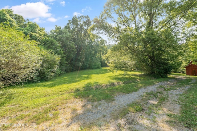 1710 W Brushy Valley Dr, Powell, TN 37849 - photo 6