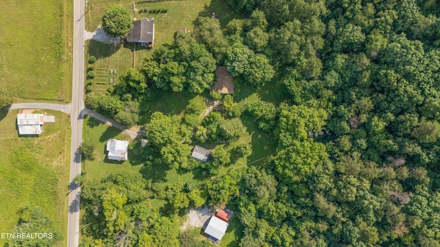 1710 W Brushy Valley Dr, Powell, TN 37849 - photo 14