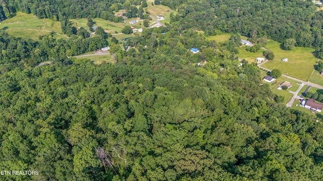 1710 W Brushy Valley Dr, Powell, TN 37849 - photo 15