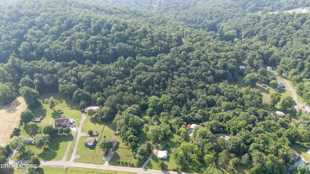 1710 W Brushy Valley Dr, Powell, TN 37849 - photo 16