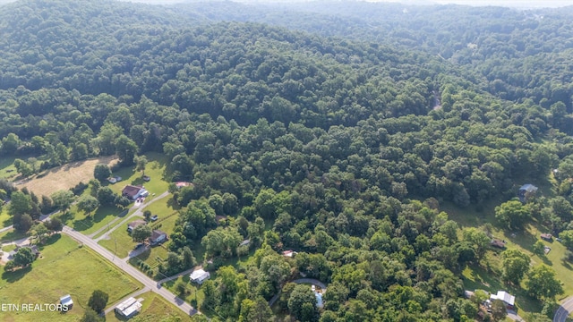 1710 W Brushy Valley Dr, Powell, TN 37849 - photo 17