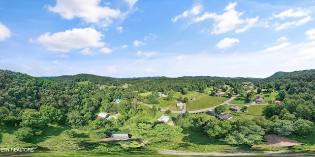 1710 W Brushy Valley Dr, Powell, TN 37849 - photo 18