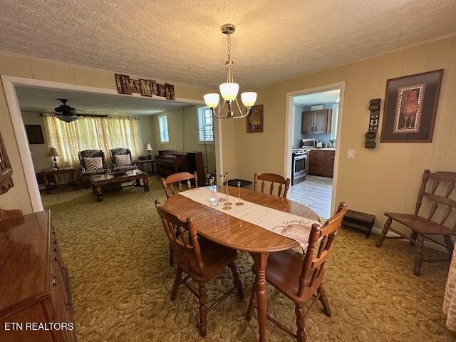 863 Giles Hollow Rd, Rose Hill, VA 24281 - photo 15
