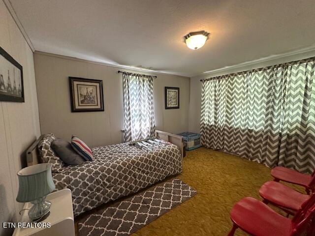 863 Giles Hollow Rd, Rose Hill, VA 24281 - photo 21