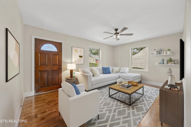 328 S Castle St, Knoxville, TN 37914 - photo 5