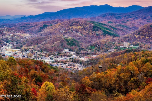 1409 Arbon Dr, Gatlinburg, TN 37738 - photo 3