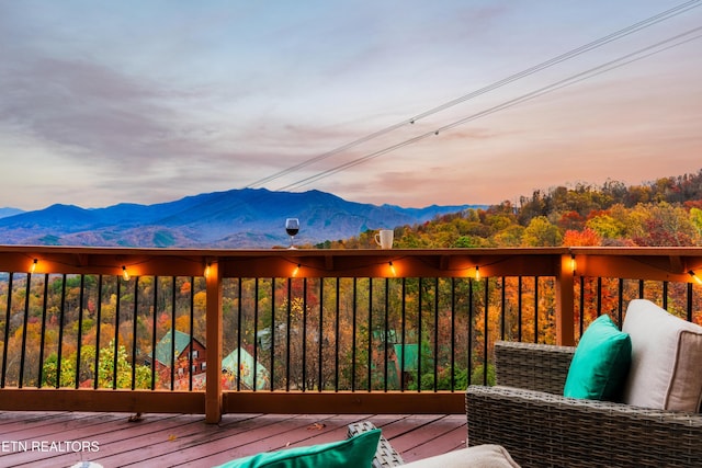1409 Arbon Dr, Gatlinburg, TN 37738 - photo 27