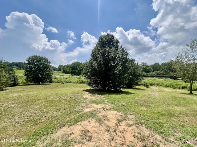 2511 Sweetwater Vonore Rd, Sweetwater, TN 37874 - photo 12