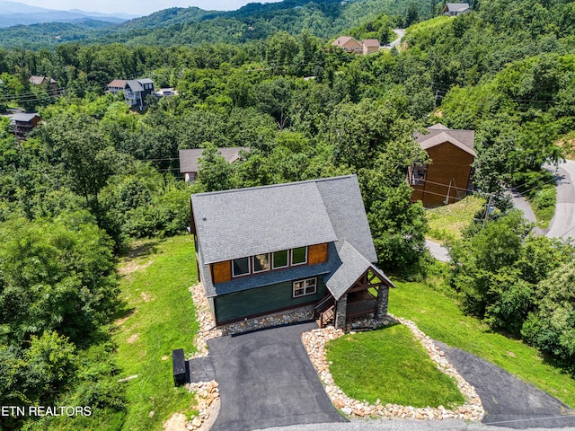 804 Upper Picadilly Ln, Gatlinburg, TN 37738 - photo 4