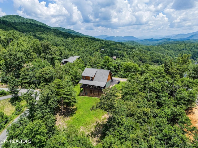 804 Upper Picadilly Ln, Gatlinburg, TN 37738 - photo 37