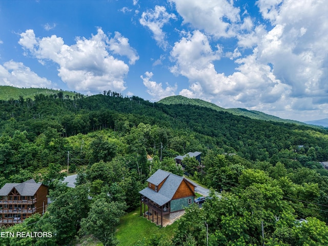 804 Upper Picadilly Ln, Gatlinburg, TN 37738 - photo 38